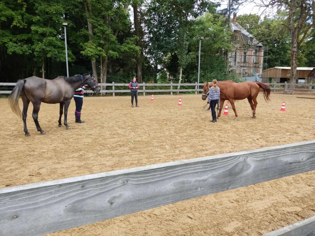 La monitrice donne cours de travail à pied à des élèves avec leur cheval en carrière