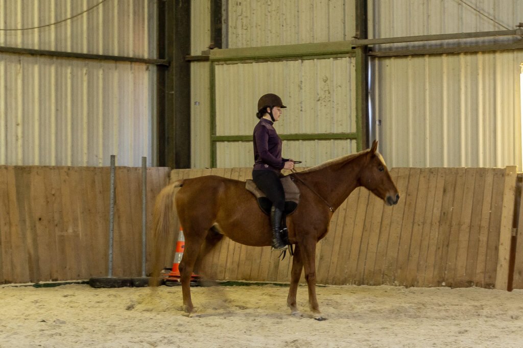 enseignante d'équitation à cheval en tapis de monte à cru et en cordelette sur un trotteur